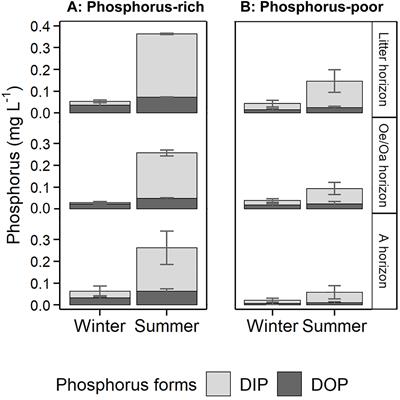 Leaching of Phosphomonoesterase Activities in Beech Forest Soils: Consequences for Phosphorus Forms and Mobility